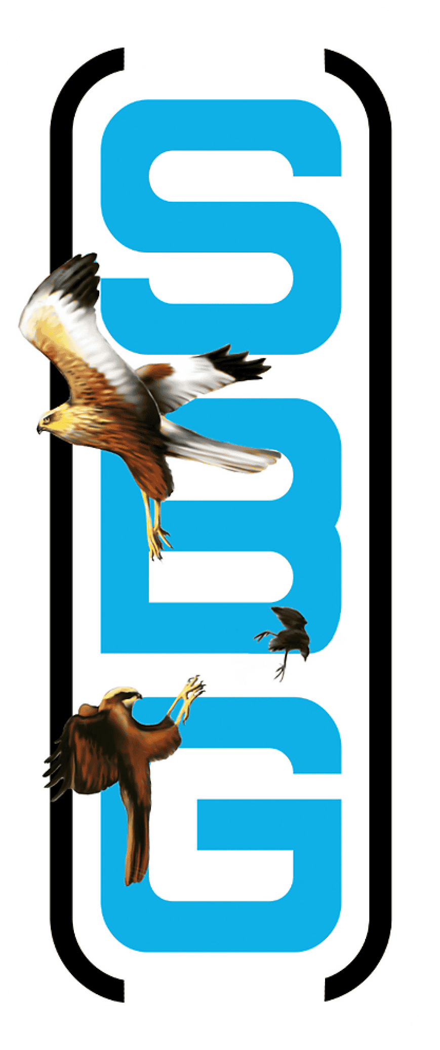 SBG logo