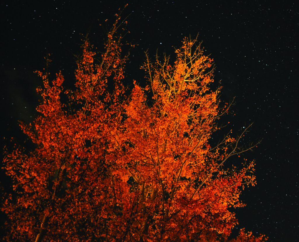 November meeting header